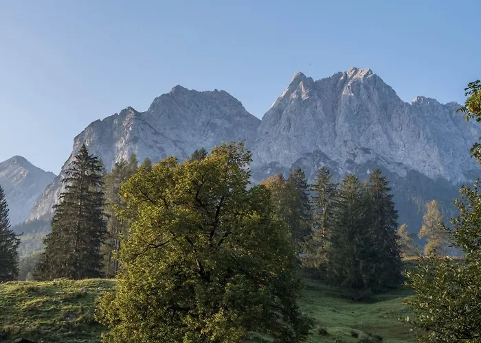 Alpspitznest